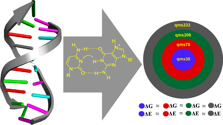 QM region convergence in QM/MM simulations of proton transfer in DNA